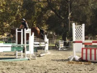 jump 2.webp