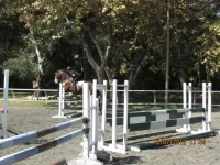 jump 3.webp