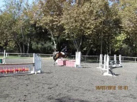 jump 5.webp