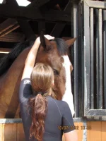 Barn 1.webp