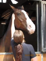Barn 2.webp