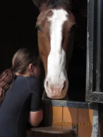 Barn 3.webp