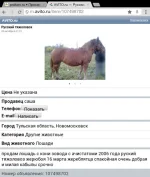 Screenshot_2012-11-30-15-39-46.webp
