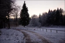 20121202_027 copy.webp