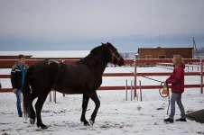 20121202_001 copy.webp