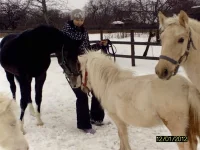 знакомимся с нарцисом.webp