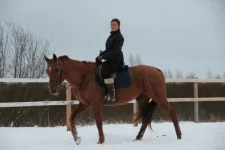 злата1.webp