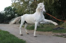 Ирка8.webp