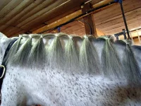 IMG_0192.webp