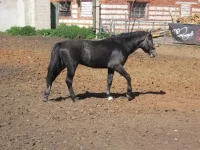 1327827_m.webp