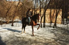 змей.webp