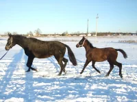 DSCF7158.webp