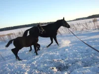 DSCF7172.webp