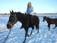 DSCF7175.webp