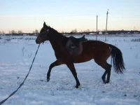 DSCF7180.webp