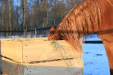 Копия YD2A1302.webp