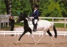 x_7dc67593.webp