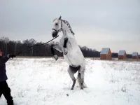DSCN0860.webp
