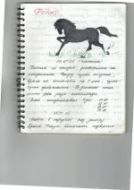 Фокус.webp