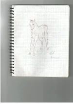 Эмоция.webp