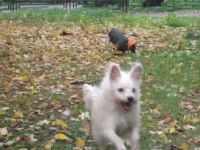 для сайта 4.webp