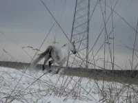 DSCN0978.webp