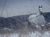 DSCN0979.webp