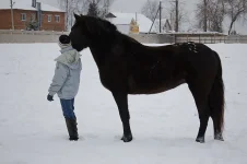20121209_079 copy.webp