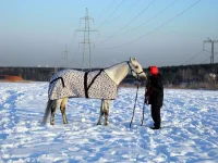 DSCN1050.webp