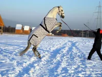 DSCN1047.webp