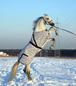 DSCN1048.webp