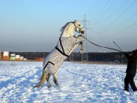 DSCN1049.webp