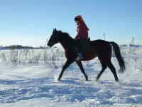 DSCF7118.webp