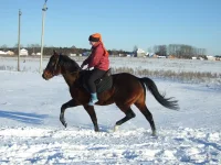 DSCF7137.webp