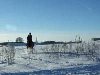 DSCF7144.webp