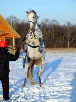 DSCN1059.webp