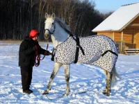 DSCN1062.webp