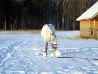 DSCN1064.webp