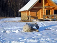 DSCN1065.webp