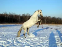 DSCN1070.webp
