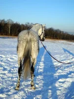 DSCN1073.webp
