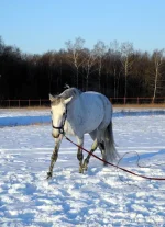 DSCN1078.webp