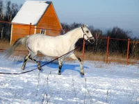 DSCN1127.webp