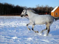 DSCN1114.webp