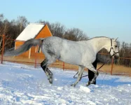 DSCN1123.webp