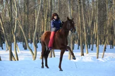 Копия YD2A1560.webp