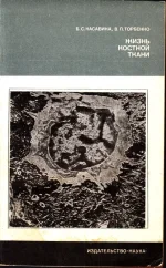 Касавина, Торбенко - Жизнь костной ткани.webp