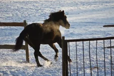 20121216_0892.webp