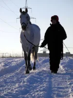 DSCN1203.webp