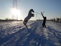 DSCN1207.webp